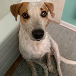 Meet your Posher, Deanna